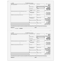 2017 W-2G Winner Fed Copy B (17BW2GEEB05)