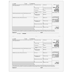 2017 W-2G Payer Record Copy D (17BW2GERD05)