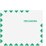 Tyvek First Class Envelope (2262)