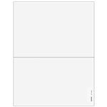 Blank 1042-S Form (42SPERF05)