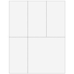 W-2 & 1099 Blank Universal Form (B4PERF05)