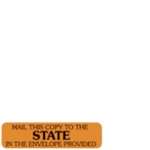 Redi-Tag - Mail to the State (Orange) (CTSTENV14)