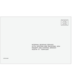 TX State Tax E-Filing Envelope - 6" x 9" (EFRDTX610)
