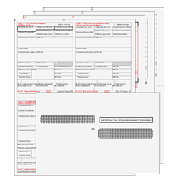 W-2 Convenience Kit - 6-part Condensed 4up Ver. 1 (Quadrants) for 50 Employees (W24UP6E50)
