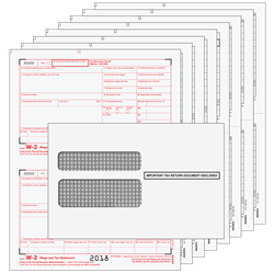 W-2 2up Traditional Laser Kits (W2TRADS8EG)